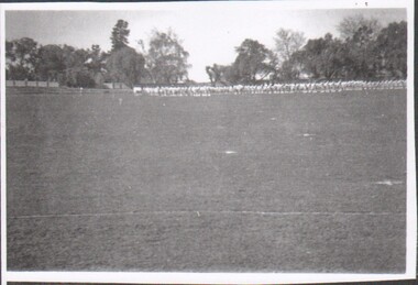 Photograph - Bendigo High School