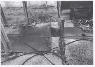 Photograph - Kangaroo Flat Gold Mine Collection: Williams United shaft
