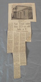 Newspaper - Lydia Chancellor collection: Specimen cottage