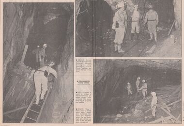 Newspaper - Trevor Lamb collection: Bendigo Advertiser Thursday, October 13, 1988