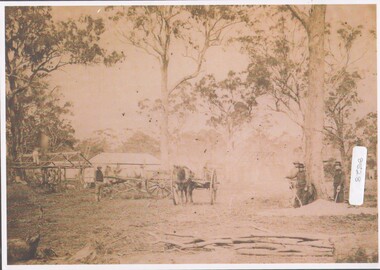Photograph - On the goldfields