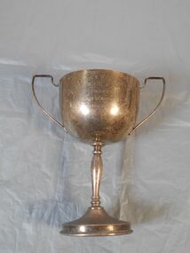 Award - Cricket Trophy