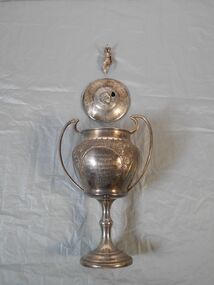 Award - Cricket Trophy