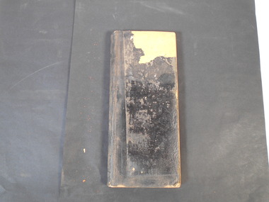 Document - Day Book