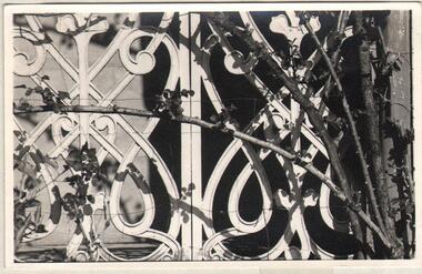 Photograph - 159 Forest St, Bendigo