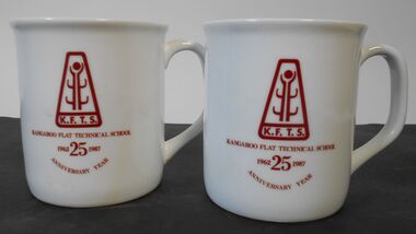Domestic object - Anniversary Mugs
