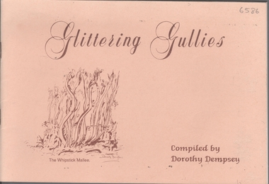Booklet - Glittering Gullies