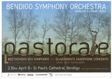 Flyer - The Bendigo Symphony Orchestra