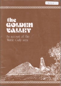 Book - THE GOLDEN VALLEY, 1980
