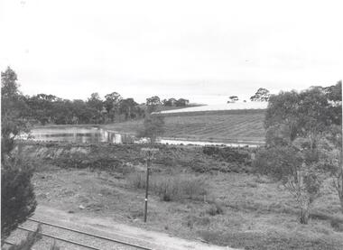 Photograph - PHOTOGRAPH. RURAL COUNTRYSIDE