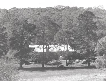 Photograph - PHOTOGRAPH.GUILDFORD PRIMARY SCHOOL