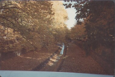 Photograph - EDITH LUNN COLLECTION: ROSILAND PARK, 27/07/1995