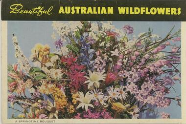 Postcard - POST CARD FOLDER.AUSTRALIAN WILD FLOWERS