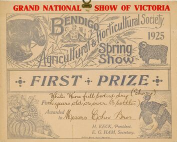 Award - COHN BROTHERS COLLECTION: Certificate, 1925