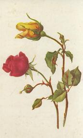 Postcard - POSTCARD. THE FRATERNAL UNION FOR BIBLE TESTIMONY