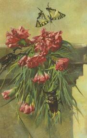 Postcard - POSTCARD. TWO BEETLES ON FLOWERS WITH A BUTTERFLY HOVERING ABOVE