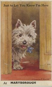 Postcard - POSTCARD. FRONT HAS PHOTGO OF SMALL DOG. JUST TO LET YOU KNOW - AT MARYBOROUGH. POSTCARD. FRONT HAS PHOTO OF SMALL DOG IN DOORWAY. - JUST TO LET YOU KNOW. AT MARYBOROUGH