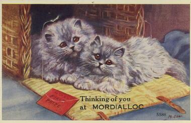 Postcard - POSTCARD RECIPIENT AND SENDER ERASED