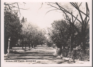 Photograph - BENDIGO VIEWS COLLECTION: ROSALIND PARK