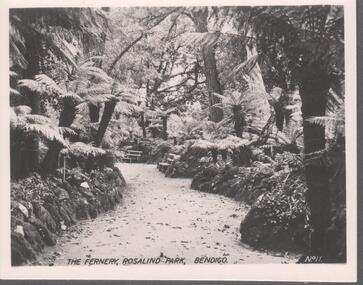 Photograph - BENDIGO VIEWS COLLECTION: THE FERNERY ROSALIND PARK