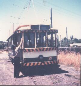 Photograph - ROY MITCHELL COLLECTION: TRAM AT NORTH BENDIGO