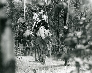 Photograph - SEDGWICK CAMEL FARM