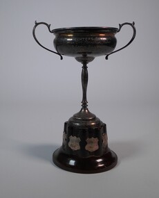 Award - SILVER PLATED TROPHY