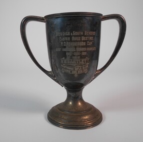 Award - SILVER PLATED TROPHY