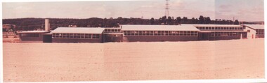 Photograph - GOLDEN SQUARE HIGH SCHOOL COLLECTION: BUILDINGS NOVEMBER 1961
