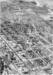 Photograph - ELMORE FIELD DAYS
