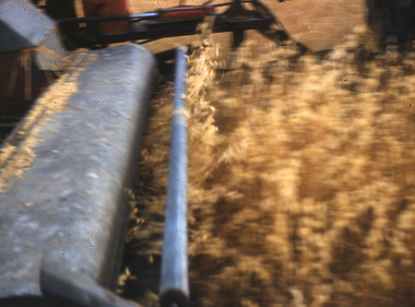 Slide - Mouat Crawford Collection: Farming Life in the Wimmera, c1962