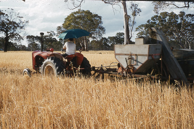Slide - Mouat Crawford Collection: Farming Life in the Wimmera, c1960s