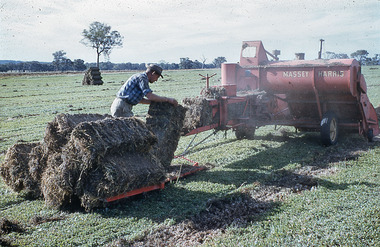 Slide - Mouat Crawford Collection: Farming Life in the Wimmera