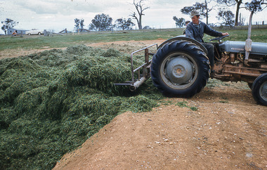 Slide - Mouat Crawford Collection: Farming Life in the Wimmera, c1960