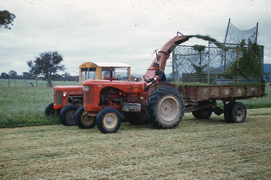 Slide - Mouat Crawford Collection: Farming Life in the Wimmera, c1960s