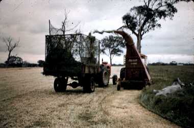 Slide - MOUAT CRAWFORD COLLECTION: FARMING IN THE WIMMERA, c1960s