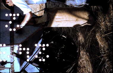Slide - MOUAT CRAWFORD COLLECTION: FARMING IN THE WIMMERA, c1960s