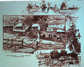 Slide - DIGGERS & MINING. LIFE OF THE SELECTORS, c1890