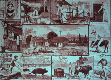 Slide - DIGGERS & MINING. LIFE OF THE SELECTORS, c1882