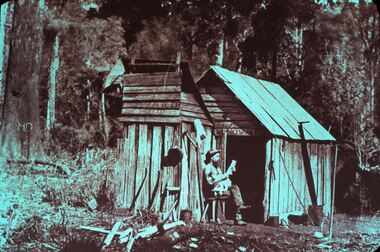 Slide - DIGGERS & MINING. LIFE OF THE SELECTORS, c1955