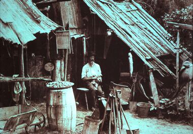 Slide - DIGGERS & MINING. LIFE OF THE SELECTORS, c1884