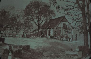 Slide - DIGGERS & MINING. LIFE OF THE SELECTORS, c1888