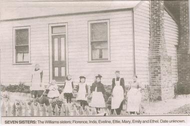 Newspaper - JENNY FOLEY COLLECTION: SEVEN SISTERS