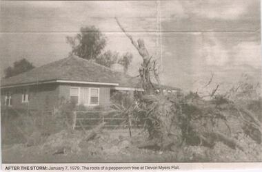 Newspaper - JENNY FOLEY COLLECTION: AFTER THE STORM