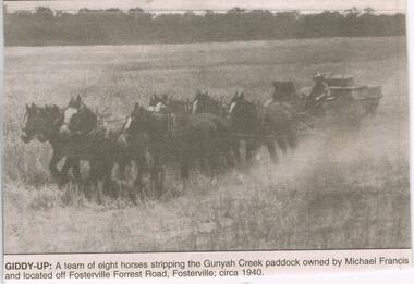 Newspaper - JENNY FOLEY COLLECTION: GIDDY-UP