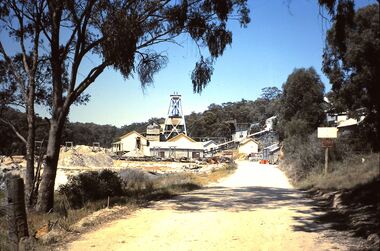 Slide - HORWOOD COLLECTION - WATTLE GULLY, c1965
