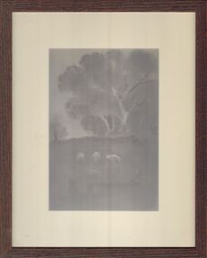 Drawing - HARRIS COLLECTION: PENCIL SKETCH OF A BUSH SCENE