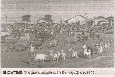 Newspaper - JENNY FOLEY COLLECTION: SHOWTIME