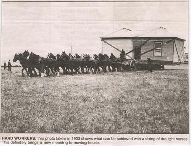 Newspaper - JENNY FOLEY COLLECTION: HARD WORKERS