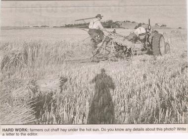 Newspaper - JENNY FOLEY COLLECTION: HARD WORK